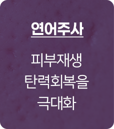 연어주사